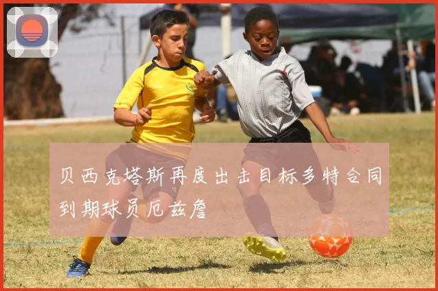 贝西克塔斯再度出击目标多特合同到期球员厄兹詹